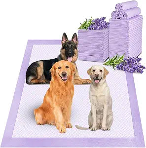 Boscute Lavender Scented Thicken 6 Layers Heavy Absorbent 30"x36" Pet Training Dog Pee Pads, Extra Large Polymer Leak-Proof Quick Dry Puppy Pee Pads, Disposable Pee Pads for Dogs Cats Rabbit 30Counts