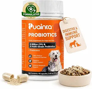 PUAINTA Probiotics for Dogs & Cats, 8 Billion CFU High-Activity Probiotic with Prebiotics, 8-Strain Digestive & Gut Health Support, Precision-Dose Stable Capsule for Immune Support (90 Count)