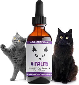 MycoCat Vitality - Mushroom Extract & Adaptogen Tincture for Cats - Liver Support with Turkey Tail, Chaga, Reishi, Maitake & Shiitake Mushrooms, for Felines with Debilitating Conditions