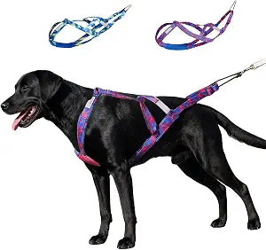 Weight Pulling Harness for Dogs  Running, Sled, Canicross & Large | GentleBliss  X-back pulling harness for weight pulling & sledding. Designed for large dogs, hiking, skijoring(M,Red)