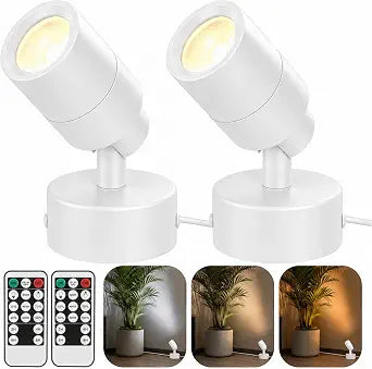 Plant Spotlight Indoor with Remote, 5W Uplighting Indoor with TimerDimmable, 3CCT LED Picture Display Accent Lighting, Floor Tree Spotlights Indoor for Painting, Artwork, 5.9 FT Plug Cord&Foot Switch