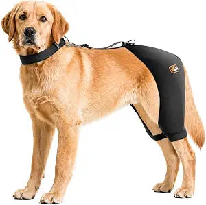 Dog Hip Brace with Removable Hot/Cold Pack  Breathable & Comfortable Rear Leg Support for Hip Dysplasia, Arthritis, ACL Instability, Limping, Mobility & Pain Relief,Patent Pending(Male Dog, XL)