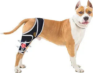Dog Knee Brace for 4 Legs,Adjustable Dog Knee Brace with Reflective Material,Provide Strong Support for Small Medium Large Dogs,Size M.