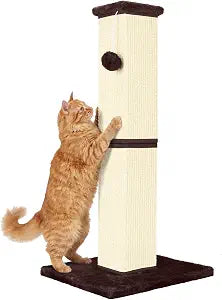 Cat Scratching Post 32 Inch for Indoor Large Cats and Kitten, Nature Sisal Tall Cat Scratch Post, Sisal Cat Scratcher Improve Cat's Scratching Habits and Protect Your Furniture, Beige