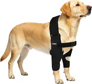 Dog Elbow Brace Protector with Decoupled Chest Strap - Breathable, Abrasion-Resistant - Adjustable Elbow Support for Hygroma, Dysplasia, Arthritis, Calluses & Shoulder Instabilit(Both Legs, L)