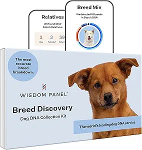 Wisdom Panel Breed Discovery Dog DNA Testing Kit - Most Accurate Dog Breed Identification - Test for 430+ Breeds, MDR1 Health Test, Ancestry, Relatives