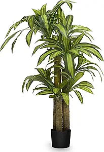 Maia Shop 5ft Artificial Dracaena Tree Plant for House, Apartment or Office  Realistic Fake Indoor Plants for Living Room, Kitchen, Bedroom, Entryway or Bathroom  Faux Greenery for Home Dcor