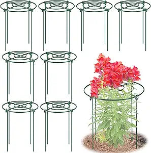 8 Pack Peony Cages and Supports, 11.5" Dx16 H Plant Supports for Outdoor Plants, Heavy Duty Metal Peony Support Cage Flower Support Rings, Plant Support Ring for Rose Tomato Hydrangea Strawberry