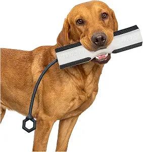 GUNNER Dog Training Bumper - Retriever Training Dummy, Retrieving Dummies for Pets, Bumpers for Water Retrieving with Adjustable Rope, (Flasher)