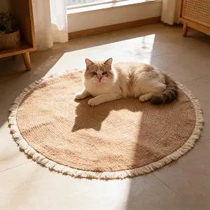 Cat Rug, Cat Scratch Rug, 39 in Washable Boho Braided Circle Rug, Soft and Stylish Home Accen for Cat Lovers