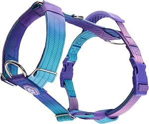 Spark Paws No Pull Dog Harness with Handle for Large Dogs, Heavy Duty Dog Harness for Big Strong Breeds, Adjustable, Y Shaped Padded Halter Design with Front Clip - 90s Retro - M