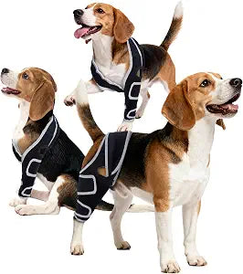 Aeegee Adjustable Dog Knee Brace for ACL tears and patellar Luxation, Providing Stable Support, Pain Relief, and Promoting Recovery, Suitable for Front and Rear Legs (M)