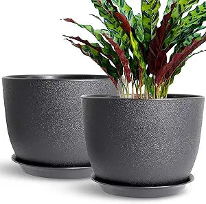 12 Inch 2 Pack Outdoor Flower Pots, Planting Pots with Saucers, Garden House Plants Planters with Drainage Hole Plant Pots Indoor Plants Black Color Plastic