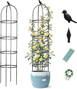 Obelisk Trellis for Garden Plants Climbing: 6ft Rustproof Metal Pipe with Plastic Coated - Potted Plant Climber Support for Outdoor Indoor Grape Vines Vegetable Fruits Flowers (2PC)