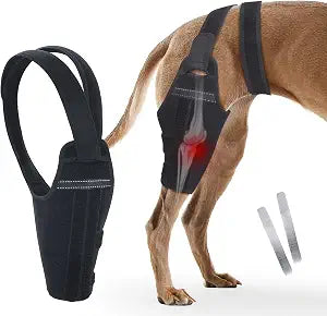 Dog Knee Brace for Torn ACL Hind LegAdjustable Support Dog Leg Brace for Back Leg with 2 Stabilizers, Hip Support to Reduces Pain Luxating Patella , Ligament Injuries, CCL (Black, Right Leg, 2XL)