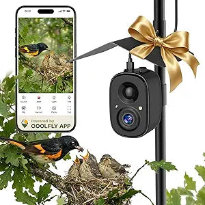Smart Bird Feeder Camera Solar Powered w/ Pole, 2.5KHD Birdwatching Live Video Auto Capture, AI Identification & Instant Alerts, Wireless Bird Cam Outdoor for Dad Grandpa, Supports 2.4G Wifi Only