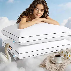 Luxury Goose Feather Down Pillow - 3-Chamber 5-Star Hotel Pillow for Neck Pain Relief, Soft Yet Supportive for Side & Back Sleepers, 100% Cotton Shell (2 Pack,20"x30")