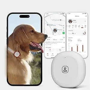 Molly&Cody GPS + Bluetooth Pet Tracker for Cats & Dogs  RealTime Tracking, Virtual Fence, IP67 Waterproof, Health Monitoring, iOS/Android  Subscription Required (White)