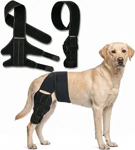 Dog Knee Brace for Rear Leg ACL CCL Support - Adjustable Compression Wrap for Arthritis, Injury Recovery & Joint Stability, Medium (30-50 lbs)