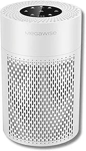 MEGAWISE Quiet Desktop Air Purifier, Featuring A Three-Stage Filtration System with H13-Grade HEPA Filter, Covers 700 Sq Ft, Ideal for Homes and Offices, Gray