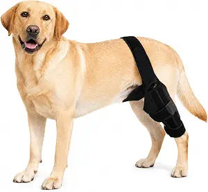 Dog Knee Brace for Torn ACL, CCL Injury, Hind Leg & Luxating Patella - Adjustable Dog Leg Brace for Arthritis, Stability & Joint Pain - Helps Recovery & Improves Mobility - Neoprene Material (M)