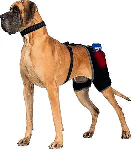 Hip Dysplasia Brace for Dogs, Dog Hip Support Brace with Hot & Cold Therapy, 2 Gel Packs Included, Quick-Swap Pocket, Adjustable Stay-Put Support for Arthritis, Stiffness & Swelling L Size