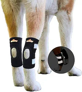 NeoAlly Cat and Dog Ankle Brace Pair Canine Rear Leg Hock Support with Safety Reflective Straps for Hind Leg Wounds Heal and Injuries and Sprains from Arthritis (XS Pair)