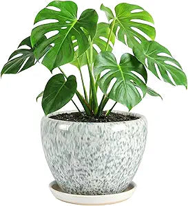 10.2 Inch Ceramic Planter with Saucer Leak-Proof Mesh &Drainage, Round Plant Pot with Gardening Gloves for Indoor Outdoor Plants (Blue Crackle Glaze)