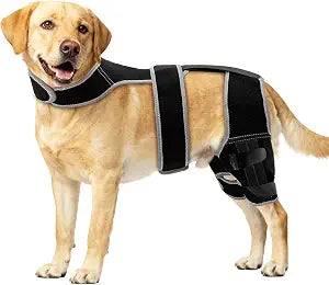 Adjustable Dog Knee Brace for Hind Leg - Double Leg Orthopedic Support with 4 Metal Stabilizers, Vest Design Dog Leg Brace for ACL/CCL Tear, Luxating Patella, Arthritis & Post-Surgery Rehab (XL)