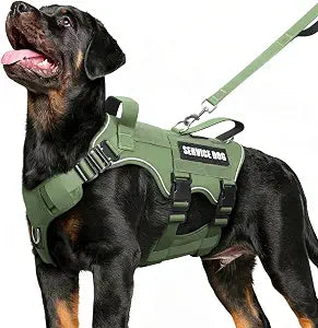 Service Dog in Training Vest and Leash Set with 10 Patches,Heavy Duty Tactical Dog Harness with Metal Buckles for Medium Sized Dogs,No Pull Easy Walking for Training Working Hiking,Green M