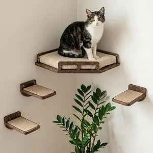 INICIO Cat Wall Shelves - Safe and Sturdy Cat Wall Furniture - Stylish Natural Wood Corner Shelf with 3 Steps for Cats up to 15lbs - Cushioned Perch and Stairs for Climbing and Playing - Dark Brown
