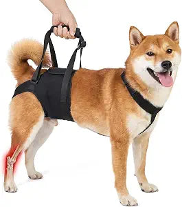 Supet Dog Sling for Large Dogs Hind Leg Support, Senior Dogs Lift Assist Harness for Weak Back Leg Support, Help Large Breed Rear Leg Up Harness, Mobility Aids for Elderly, Injured, Paralyzed Dog, S