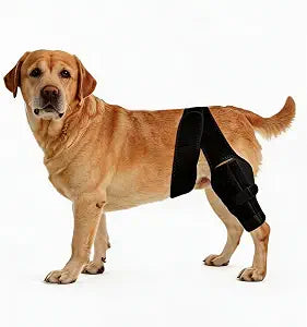Dog Knee Brace for Leg, Adjustable Dog Braces for Torn ACL Support, Built in Side Stabilizers, Breathable Dogs Hip Brace for Arthritis Relief, Joint Stability and Post Surgery Recovery