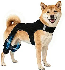 Dog Knee Braces for Torn ACL Hind Leg, Adjustable Dog Leg Braces with Stabilizers, Dual Hind Leg Support to Reduce Pain from Arthritis, Ligament Injury, Hip Dysplasia, Luxating Patella,M