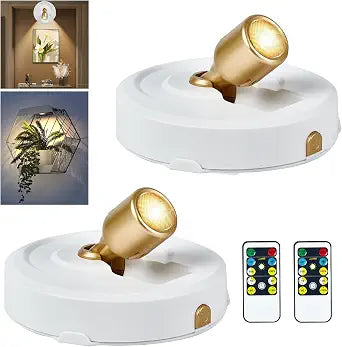 RAHAN 2Pack Battery Operated Spotlight, Picture Light with Remote Dimmable & Timer, Plants Uplighting Picture Lights for Paintings, Small LED Spot Display Lights for Wall Frame Artwork Dartboard