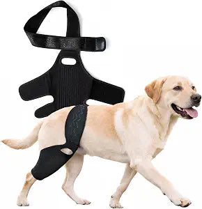 Acl Brace for Dogs, Premium Neoprene Compression Fabric with Metal Stabilizers, Adjustable Anti-Slip Straps, Helps Improve Mobility for Injury Recovery, Arthritis & Senior Dogs (XS)