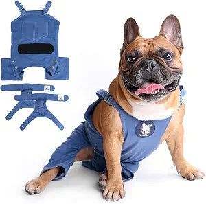 iChoue Cute Dog Diapers Suspenders for French Bulldog Frenchie Pug English Bulldog Female in Heat Cycle Blue - Small with 2pc Diapers