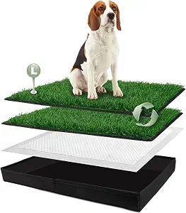 HQ4US 4LEGS Dog Grass Pad with Foldable Dog Litter Box, Large Liner Base (3323) for Balcony, 2 Artficial Grass Pee Pads for Dogs, Pee Pad Holder, Potty Training