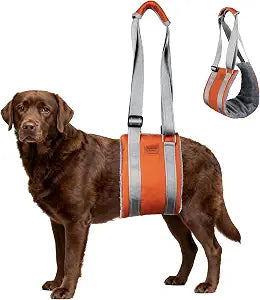 Dog Lift Harness,Dog Sling for Large Dog to Help Senior,Injured,Disabled,L | Dog lift harness support harness rehab to help senior,injured,arthritis,hip dysplasia,weak rear leg,disabled
