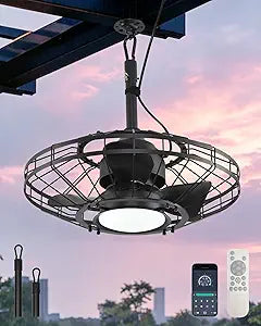 AHAWILL 20" Outdoor Ceiling Fan with Light,Waterproof Gazebo Fan with Hanging Hook,6-Speed Reversible Motor,Memory 3CCT,Plug-in Caged Ceiling Fan with Smart App Control for Patio Porch (Black)