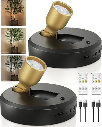 EZVALO Spot Lights Indoor, Plant Uplights, Accent Lighting
