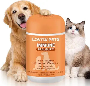 LOVITA Pets Senior Wellness Capsules for Dogs & Cats, with NMN, Resveratrol, Taurine, and PRALISUR Beta-Glucan, Daily Nutritional Support for Aging Pets, 60 Capsules