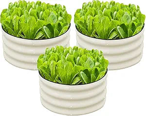 SnugNiture 3 Pcs 2x2x1ft Round Galvanized Raised Garden Bed Kit Outdoor, Metal Planter Box for Planting Plants Vegetables, White