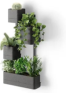Umbra Cubiko Wall Planter with 4 Lightweight and Durable Pots (Black)