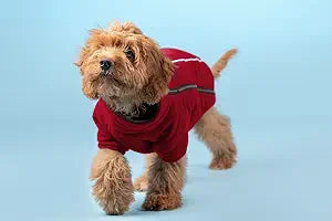 BoxDog Polar Fleece Warm Dog Jacket I Cold Weather Dog Coat | Dog Jackets Size XS, Small, Medium, Large, XLarge, XXL (Small, Red)