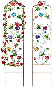 2 Pack Metal Garden Trellis Arched Fence Trellises for Climbing Plants Outdoor, Roses, Vines, Flowers, and Vegetables Support, 60'' H x 12'' W, Hummingbird