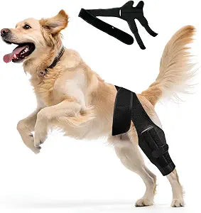 Adjustable Dog Knee Brace for Acl Support, Built-in Hard Support to Recovery and Injury Prevention - Perfect for Torn Ligaments, Knee, Hock, and Ankle Injuries - (M Size)