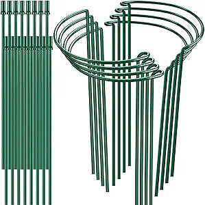 8 Pack 32 or 16 inch Adjustable Plant Support Stakes, Heavy-Duty Half Round Peony Support, Garden Plant Stakes Cage for Outdoor Plants, Peony, Tomato, Hydrangea, (16In Support +16In Extension Tubes)