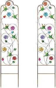 2 Pack Garden Trellis for Climbing Plants Outdoor Metal Arch Trellis for Climbing Vines Plants Support 60'' H x 11'' W Hummingbird