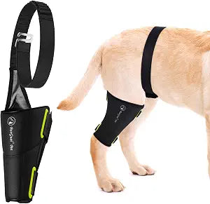 Dog Knee Brace Pro - Metal Slide Buckle, Groin Cutout for Easy Potty, Hind Leg Support for ACL CCL Luxating Patella, Neoprene Leg Wrap for Small Medium Large DogsM